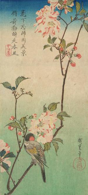 歌川広重: Bullfinch in a Flowering Cherry Tree - ウィスコンシン大学マディソン校