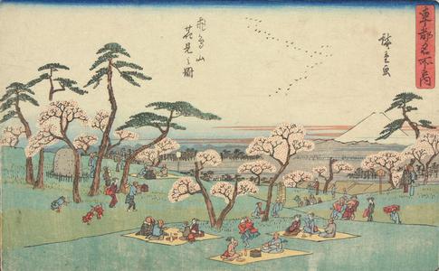 Utagawa Hiroshige: Flower Viewing at Asuka Hill, from the series Famous Places in the Eastern Capital - University of Wisconsin-Madison