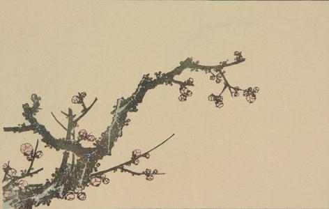 葛飾北斎: Untitled (Cherry Blossoms), from the portfolio Hokusai's Shashin Gwofu - ウィスコンシン大学マディソン校