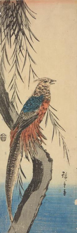 Utagawa Hiroshige: Copper Pheasant on Willow - University of Wisconsin-Madison