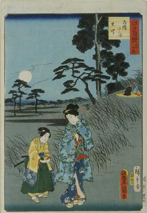 無款: Listening to insects on Dokan Hill, from the series Thirty-six Examples of the Pride of Edo - ウィスコンシン大学マディソン校