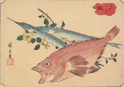 歌川広重: Kasago and Sayori, from a series of Fish Subjects - ウィスコンシン大学マディソン校