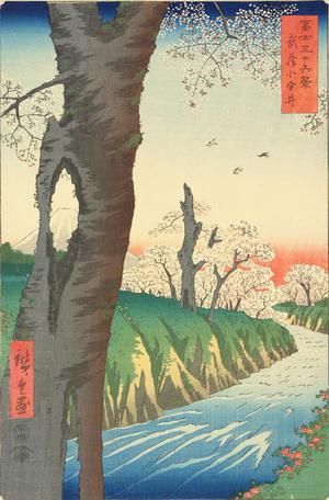 歌川広重: Koganei in Musashi Province, no. 12 from the series Thirty-six Views of Mt. Fuji - ウィスコンシン大学マディソン校