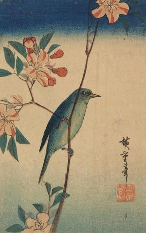 Utagawa Hiroshige: White-eye on Flowering Plum - University of Wisconsin-Madison