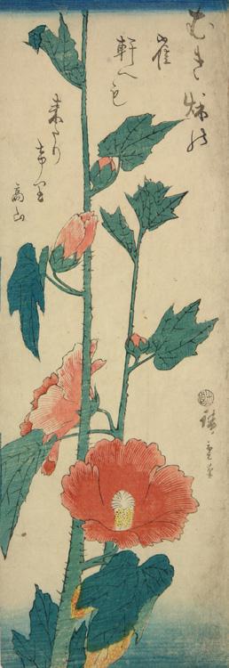 Utagawa Hiroshige: Hollyhocks, from a series of Flower Subjects - University of Wisconsin-Madison