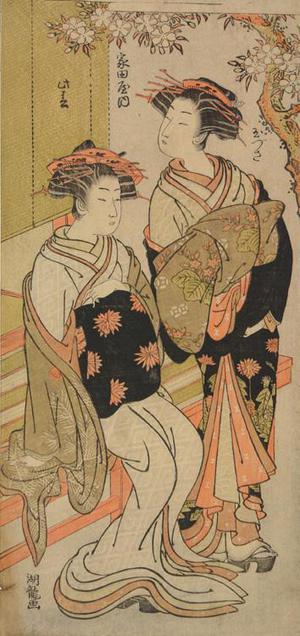 磯田湖龍齋: The Courtesans Tamazusa and Konomatsu of the Ieda (or Yata) Establishment, from the series First Patterns of Young Greens - ウィスコンシン大学マディソン校