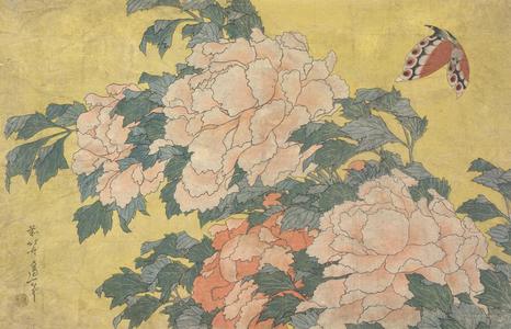 Katsushika Hokusai: Butterfly and Peonies, from a series of Eleven Pictures of Insects, Birds, and Flowers - University of Wisconsin-Madison