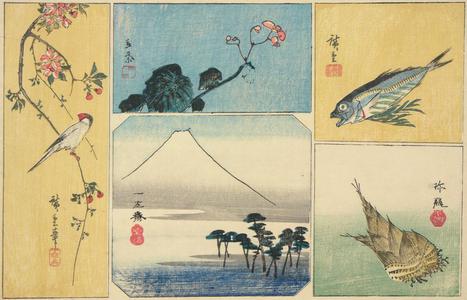 Utagawa Hiroshige: Paddy Bird on Crab Apple Branch, Begonia, Fish, and Bamboo Shoot, from a series of Harimaze Prints - University of Wisconsin-Madison