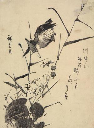 Utagawa Hiroshige: Kingfisher and Water Plants - University of Wisconsin-Madison