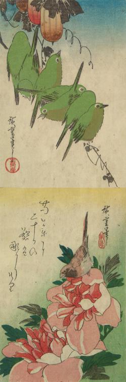 歌川広重: White-eyes and Gourds, Finch and Peonies, from a series of Bird and Flower Subjects - ウィスコンシン大学マディソン校