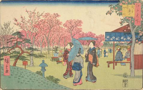 Utagawa Hiroshige: The Cherry Orchard in the Temple Precincts at Asakusa, from the series Famous Places in Edo - University of Wisconsin-Madison