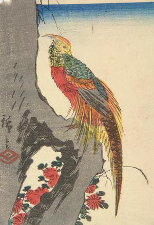 Utagawa Hiroshige: Golden Pheasant on a Rock - University of Wisconsin-Madison