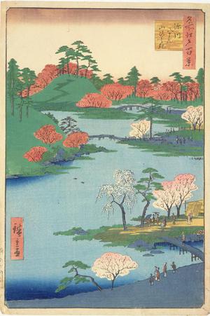 歌川広重: Cherry Blossoms at the Hachiman Shrine in Fukagawa, no. 59 from the series One-hundred Views of Famous Places in Edo - ウィスコンシン大学マディソン校