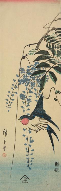 Utagawa Hiroshige: Swallow and Wisteria - University of Wisconsin-Madison