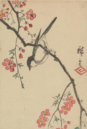 Utagawa Hiroshige: Bird on a Flowering Branch - University of Wisconsin-Madison