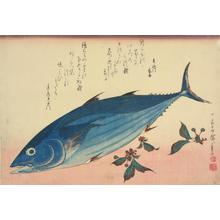 Utagawa Hiroshige: Bonito and Cherries, from a series of Fish Subjects - University of Wisconsin-Madison