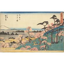 Utagawa Hiroshige: Flower Viewing at Asuka Hill, from the series A New Selection of Famous Places in Edo - University of Wisconsin-Madison