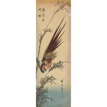 Utagawa Hiroshige: Copper Pheasant Flying Through Bamboo - University of Wisconsin-Madison