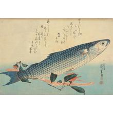 Utagawa Hiroshige: Gray Mullet, Camellia and Udo, from a series of Fish Subjects - University of Wisconsin-Madison