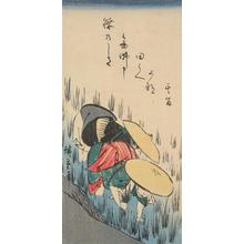 歌川広重: Women Planting Rice, from a series of Figure Sketches - ウィスコンシン大学マディソン校