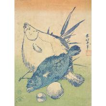 Katsushika Hokusai: Sole, Spotted Fish, and Shells,from a series of Pictures Originally Printed in Blue - University of Wisconsin-Madison