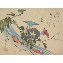 Utagawa Hiroshige: Morning Glory, Goldfish and Minnows - University of Wisconsin-Madison