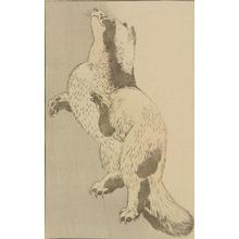 Katsushika Hokusai: Untitled (Badger), from the portfolio Hokusai's Shashin Gwofu - University of Wisconsin-Madison