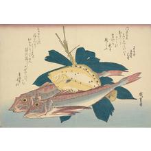 Utagawa Hiroshige: Two Gunnard and a Flounder - University of Wisconsin-Madison