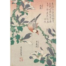 葛飾北斎: Paddy Bird and Magnolia Blossoms, from a series of Bird and Flower Subjects - ウィスコンシン大学マディソン校