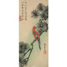 Utagawa Hiroshige: Red Parrot on a Pine Branch - University of Wisconsin-Madison