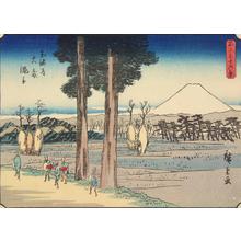 歌川広重: Path Through Rice Fields at Oiso on the Tokaido, no. 20 from the series Thirty-six Views of Mt. Fuji - ウィスコンシン大学マディソン校