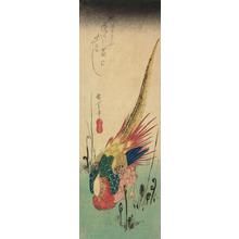 Utagawa Hiroshige: Golden Pheasant and Bracken Ferns - University of Wisconsin-Madison