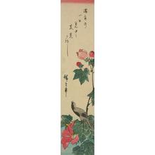 Utagawa Hiroshige: Small Grey Bird and Hibiscus - University of Wisconsin-Madison