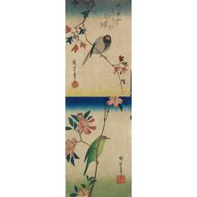 Utagawa Hiroshige: Java Sparrow on a Maple Branch, Green Bird on Crab Apple Branch, from a series of Bird and Flower Subjects - University of Wisconsin-Madison