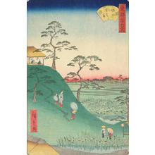 Utagawa Hiroshige II: Iris Fields at Horikiri, from the series Thirty-six Views of the Eastern Capital - University of Wisconsin-Madison