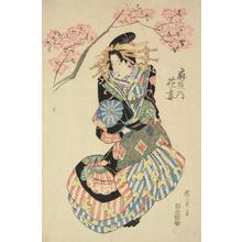 歌川広重: The Courtesan Hanazuma of the Ogi Establishment, from a series of Portraits of Courtesans - ウィスコンシン大学マディソン校