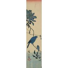 Utagawa Hiroshige: Small Blue Bird on Clematis - University of Wisconsin-Madison