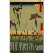 歌川広重: Irises at Horikiri, no. 56 from the series One-hundred Views of Famous Places in Edo - ウィスコンシン大学マディソン校