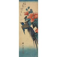 Utagawa Hiroshige: Long-tailed Magpie? and Hibiscus - University of Wisconsin-Madison