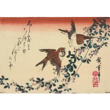 Utagawa Hiroshige: Sparrows and Bush Clover, from a series of Bird and Flower Subjects - University of Wisconsin-Madison