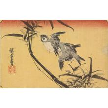 歌川広重: Sparrows and Bamboo, from a series of Bird and Flower Subjects - ウィスコンシン大学マディソン校