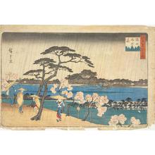 歌川広重: Cherry Blossoms in the Rain by the Sumida River, from the series Famous Places in Edo - ウィスコンシン大学マディソン校