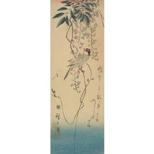 Utagawa Hiroshige: Java Sparrow and Wisteria - University of Wisconsin-Madison