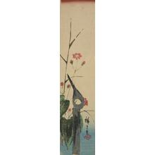 Utagawa Hiroshige: Wagtail and Water Plants - University of Wisconsin-Madison