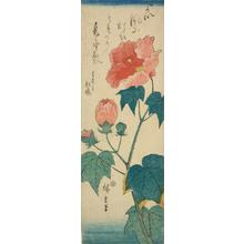 Utagawa Hiroshige: Hibiscus, from a series of Flower Subjects - University of Wisconsin-Madison