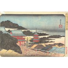 Utagawa Hiroshige: Crowds at the Year-end Market at Kinryuzan in Asakusa, from the series Famous Places in the Eastern Capital - University of Wisconsin-Madison