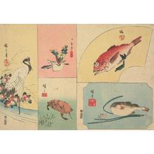 歌川広重: Crane, Adonis Flower, Red Fish, Turtle, and Blowfish, from a series of Harimaze of Bird and Flower Subjects - ウィスコンシン大学マディソン校