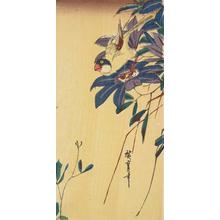 Utagawa Hiroshige: Java Sparrow on Clematis - University of Wisconsin-Madison