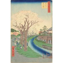 Utagawa Hiroshige: Cherry Trees in Bloom along the Tama River Embankment, no. 42 from the series One-hundred Views of Famous Places in Edo - University of Wisconsin-Madison