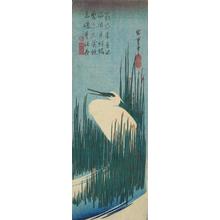 Utagawa Hiroshige: Egret in Reeds - University of Wisconsin-Madison